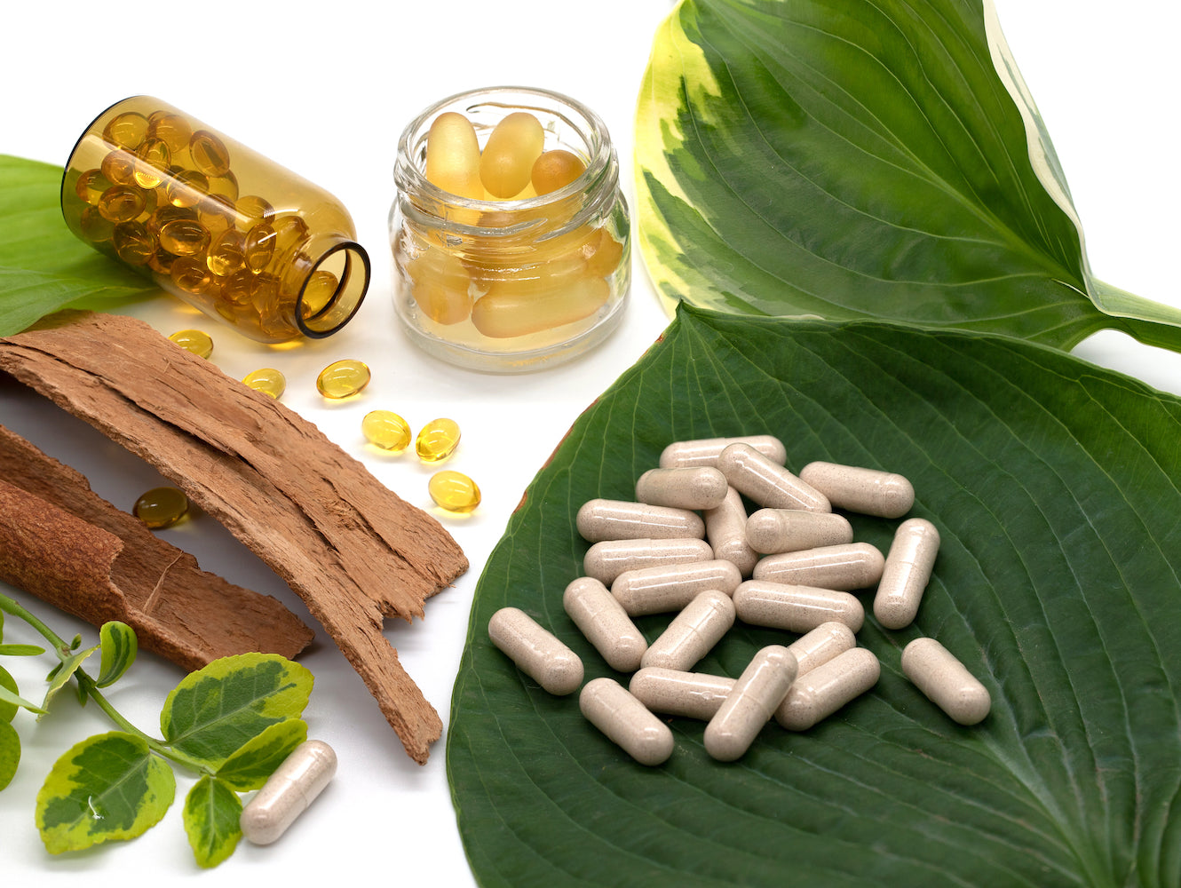 Bovine vs Marine Collagen – which is better?